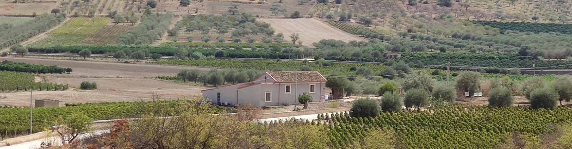 Campo agricolo